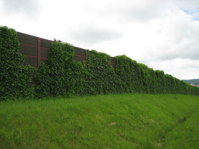 mur anti bruit végétalisable
